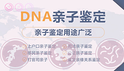 资阳隐私亲子鉴定结果准不准确（检测咨询）
